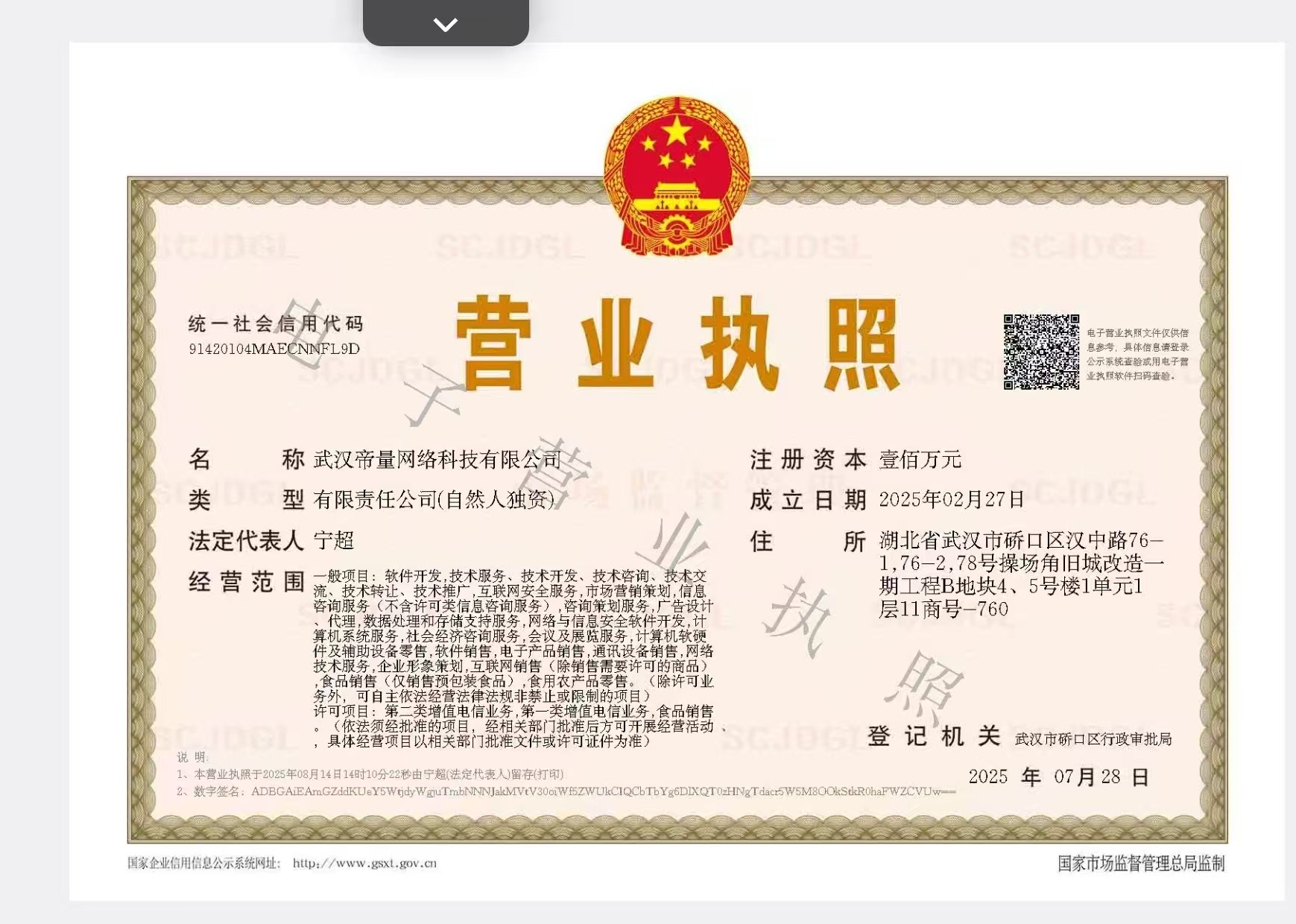 电子营业执照亮照